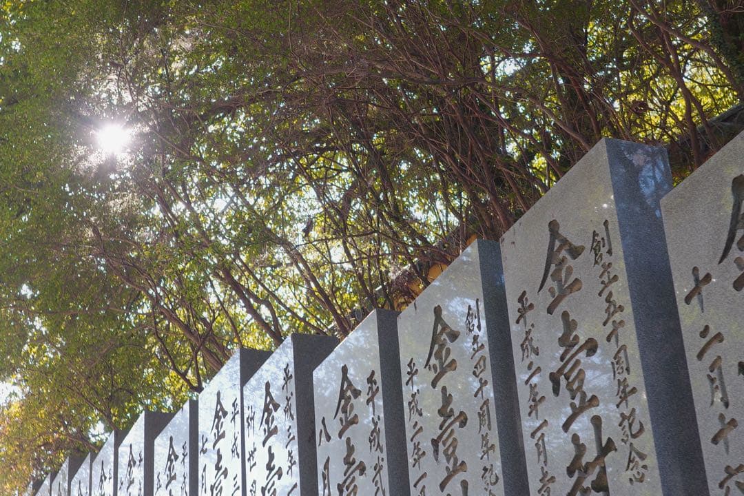 美品RICOH GRIIIx Urban Edition ショット数1612