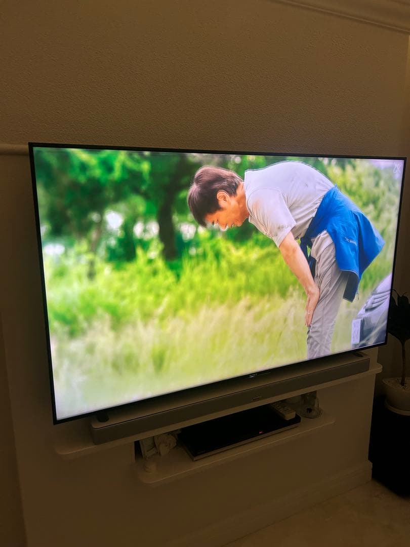 SONY BRAVIA 55型 薄型液晶テレビ壁掛金具セット