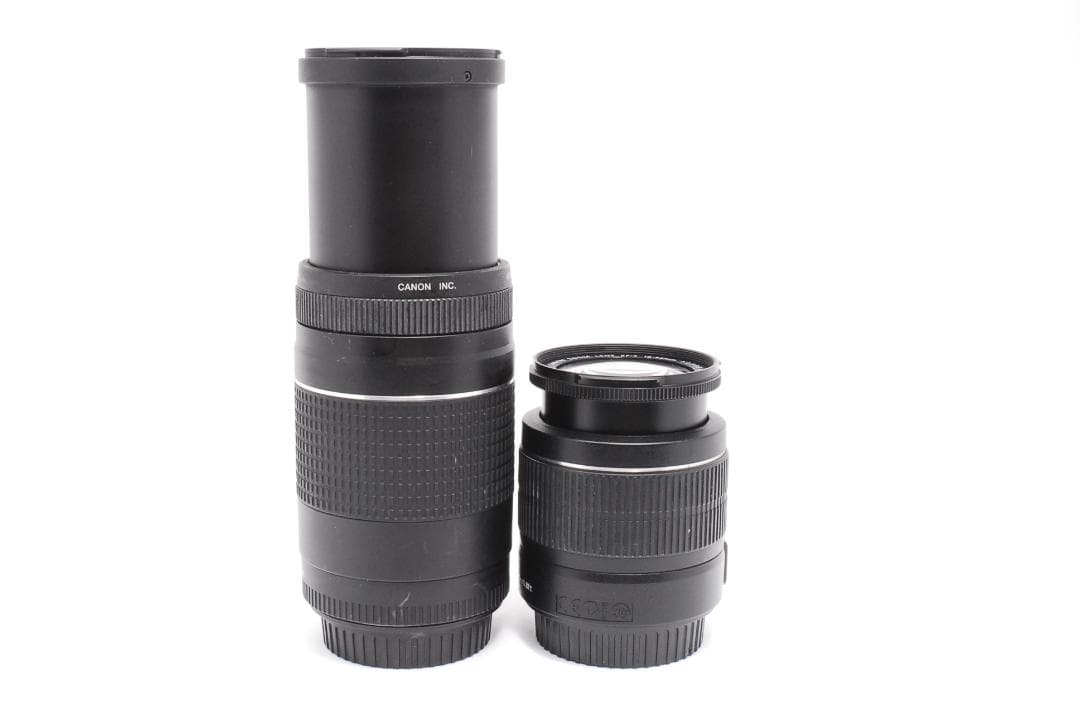 初心者オススメ⭐️Canon EOS Kiss X5 ダブルレンズセット