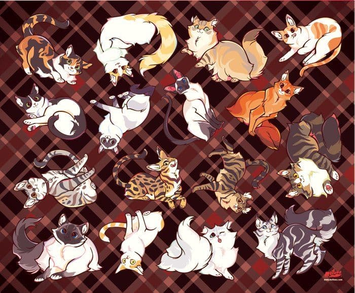 mofuwaさん ブランケット　猫　cat　未使用品