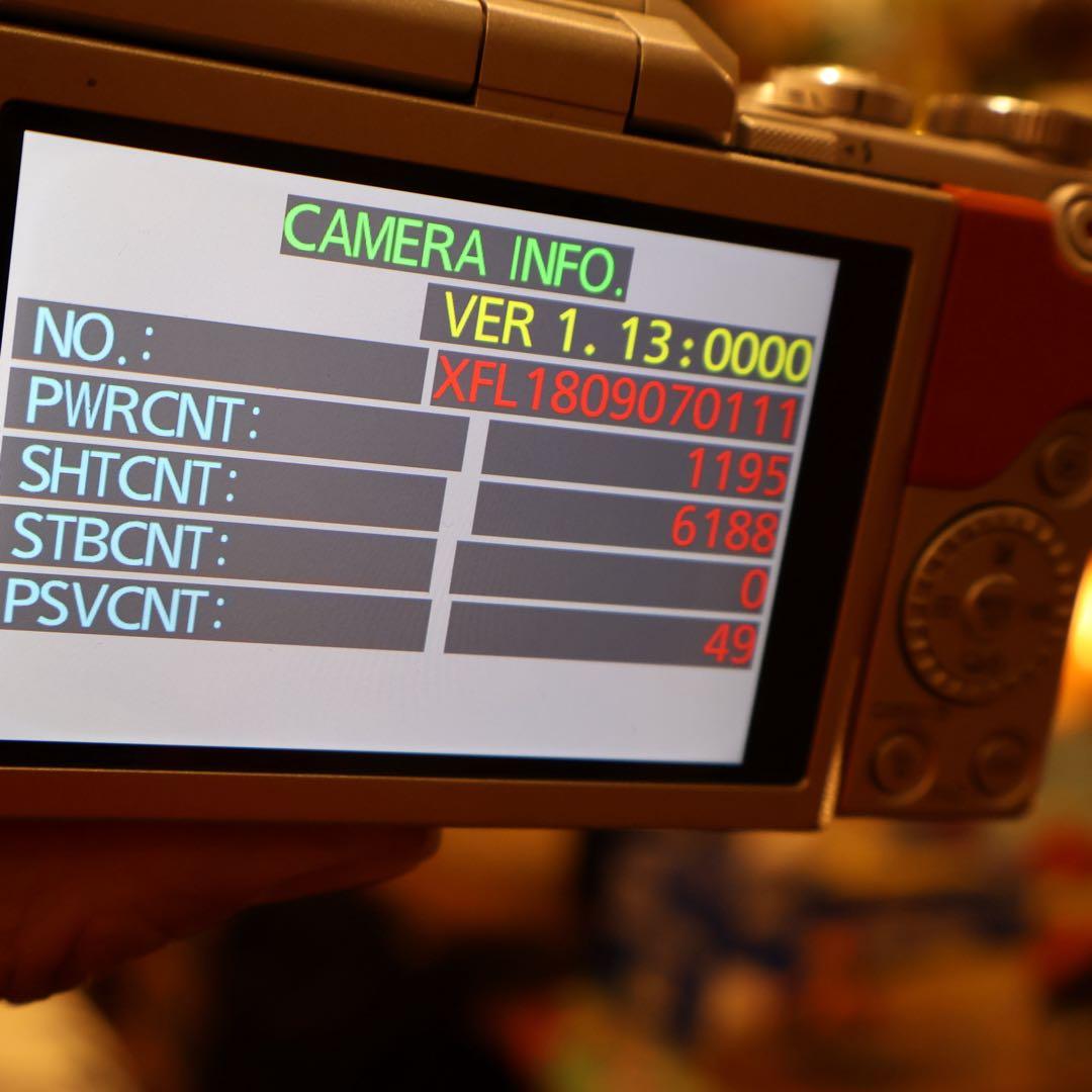 Panasonic LUMIX DC-GF9W ミラーレス一眼