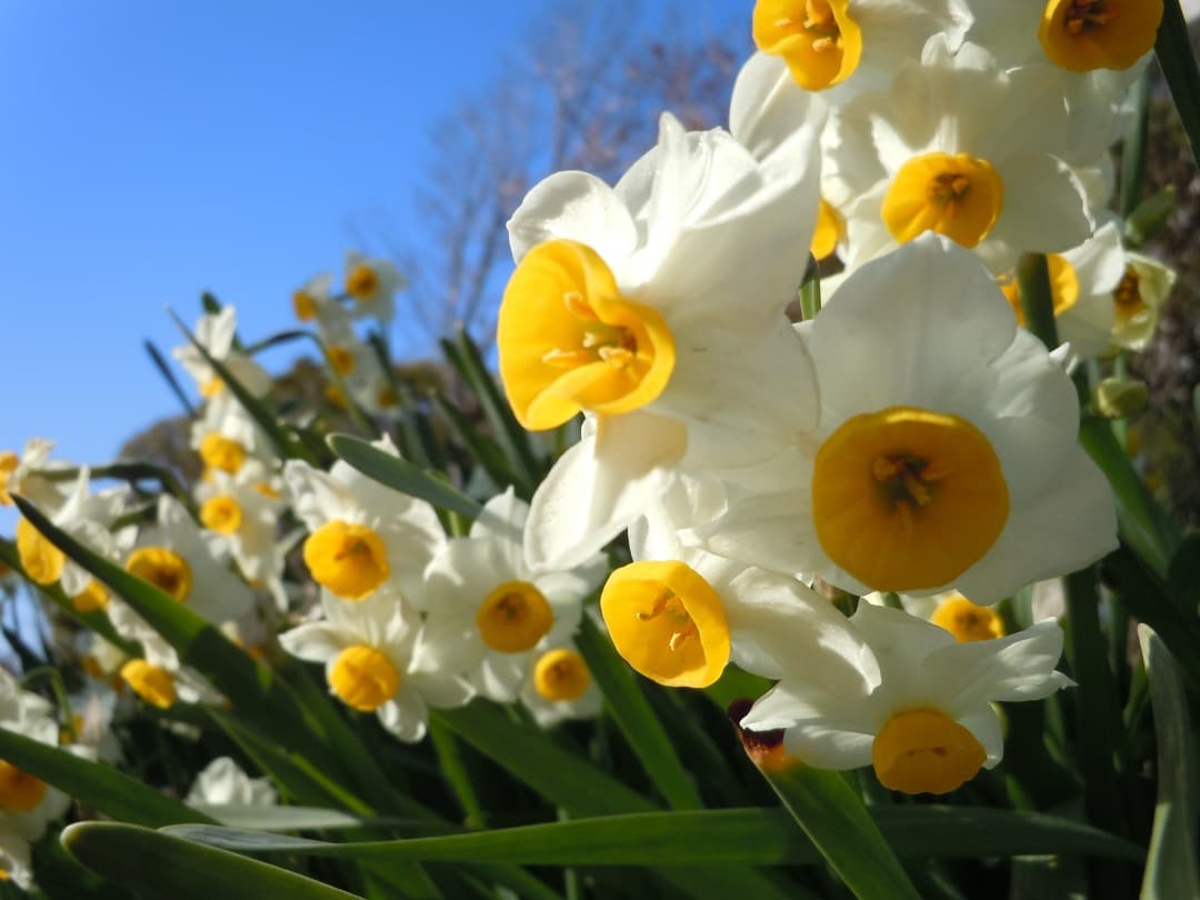 実写美⭕️新品同様【動作確認済み】Nikon COOLPIX S6000