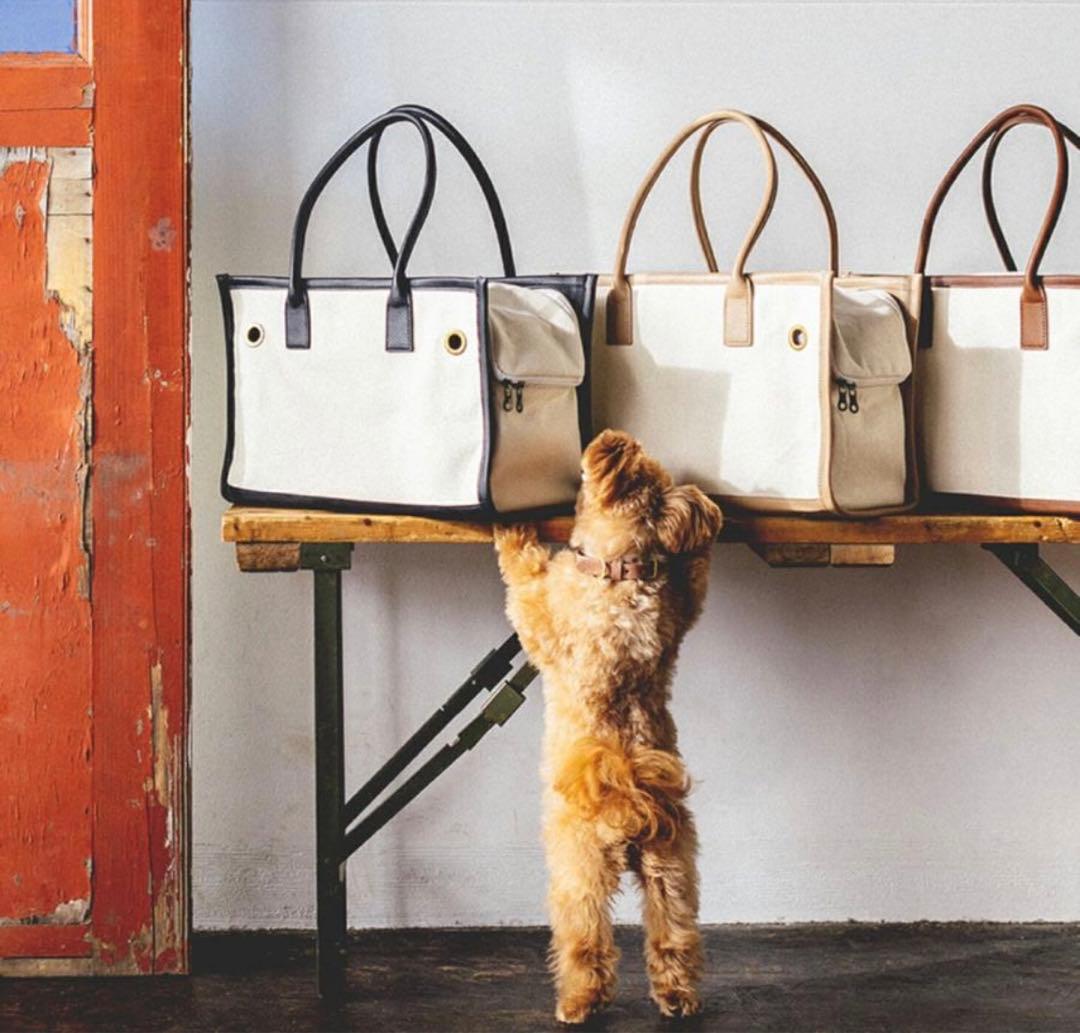 〈新品未使用〉city dog 犬用キャリーバッグ