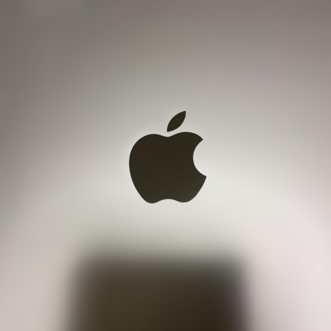 Apple iPad シルバー 本体 MK2L3J/A 64GB 第9世代