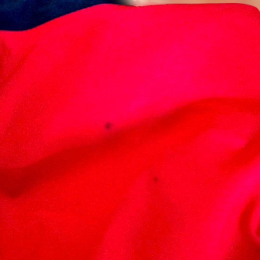 BRIDGESTONE GOLF レインウェア 撥水　L 良い状態