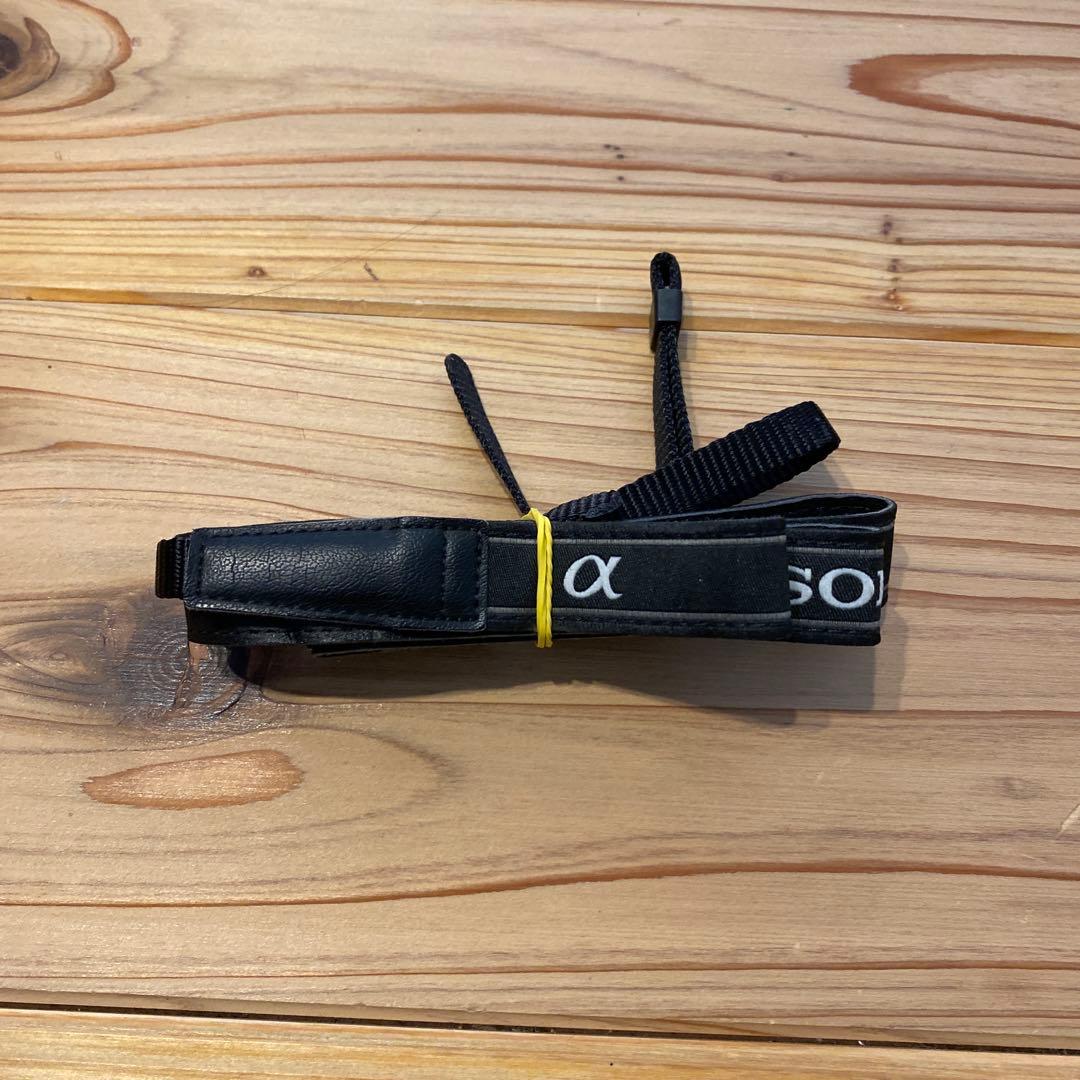 SONY α NEX-6 ミラーレスボディのみ　バッテリー3個