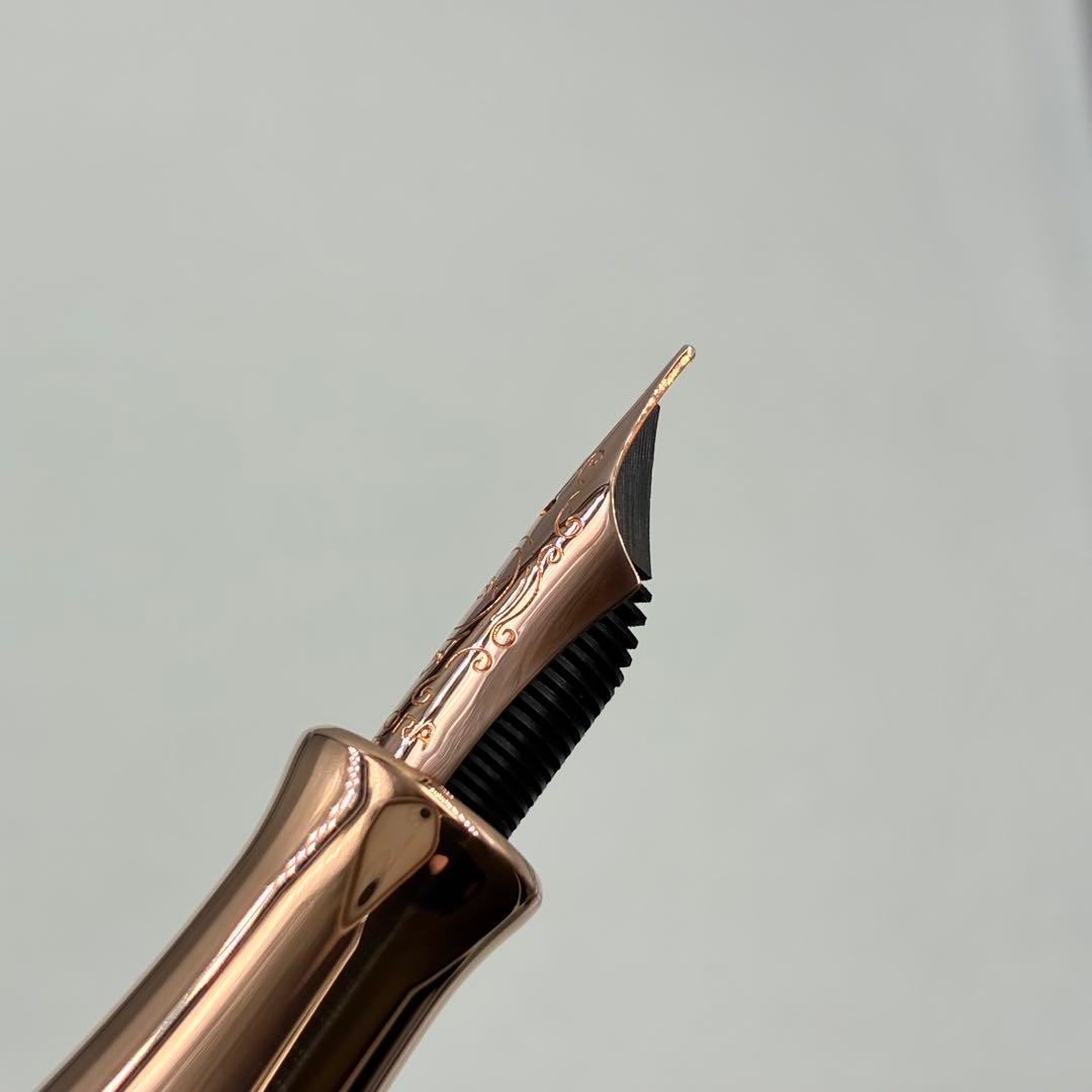 訳アリ AURORA アウロラ 万年筆 ダンテ・パラディソ 920-CPW