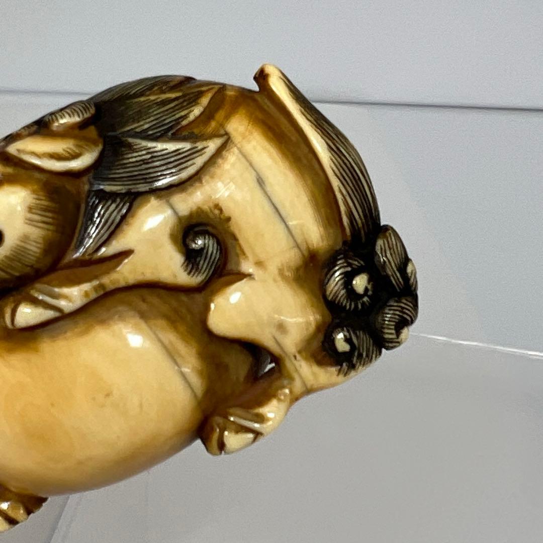 江戸時代　極上　獅子　根付　41g トニサト　東さ7-0923☆2F