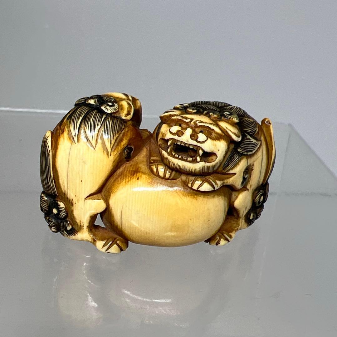 江戸時代　極上　獅子　根付　41g トニサト　東さ7-0923☆2F