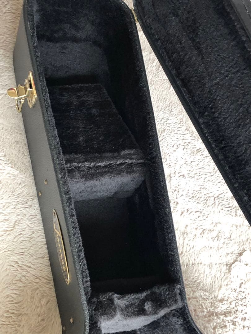 ジェームスJD600VNアコースティックギターハードケース付き