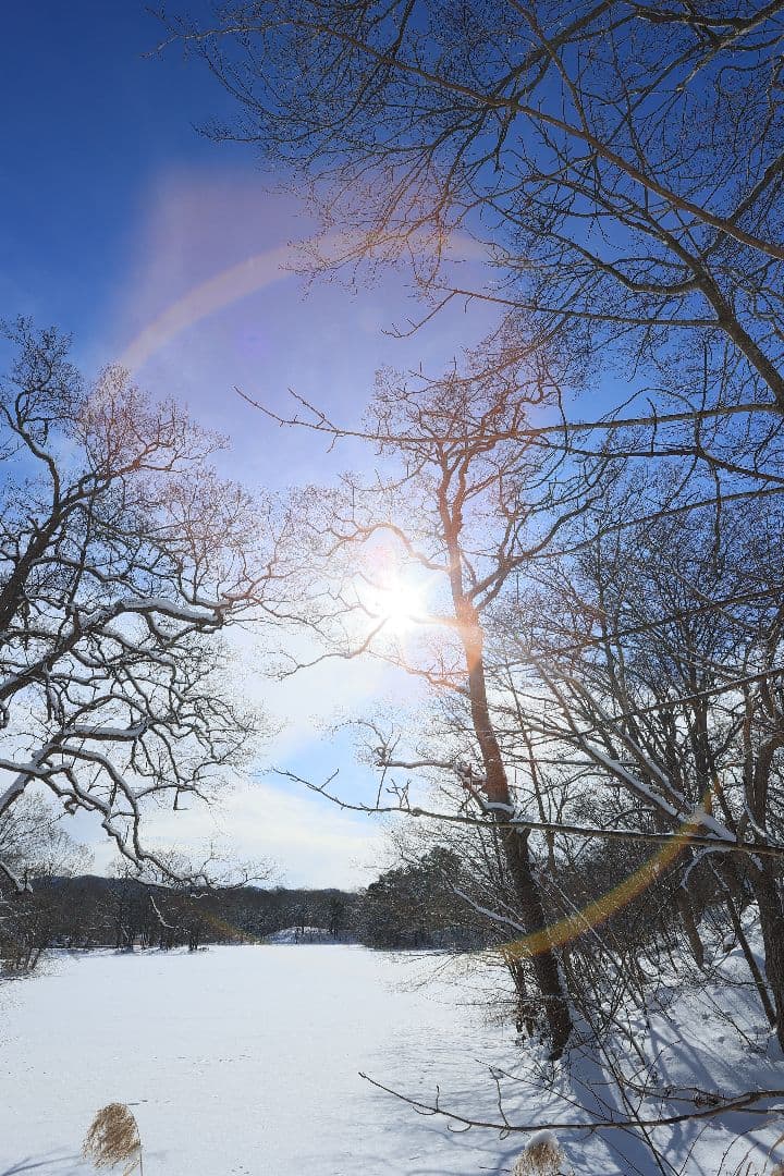 CANON EF 20mm F2.8 USM 【難あり】