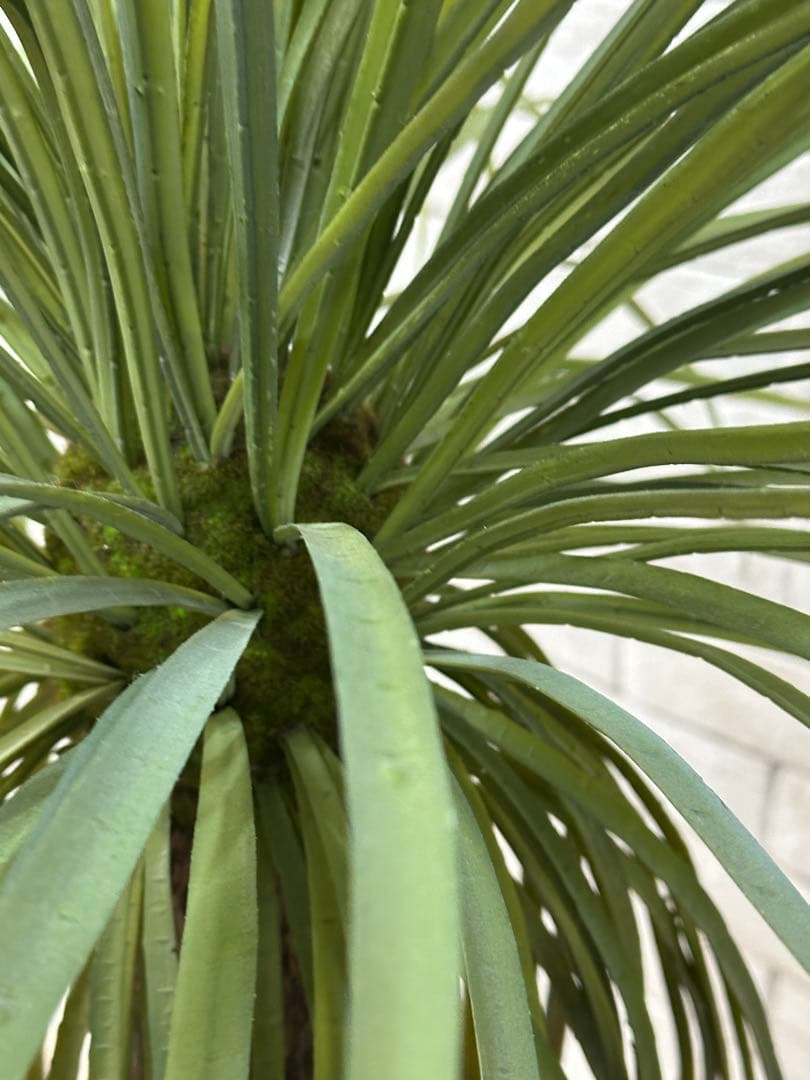 【東京23区配送無料】定価9万円　エミリオロバ　ユッカ　造花　観葉植物　高級　緑