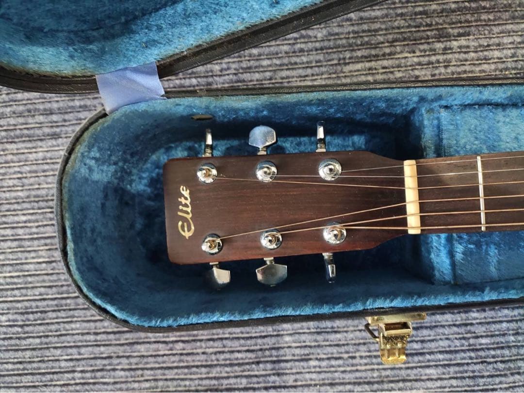 ギター Takamine Elite TW-40