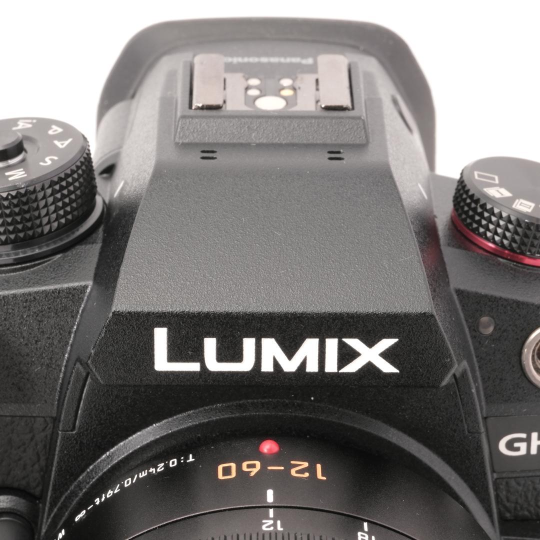 Panasonic LUMIX DC-GH6 レンズキット 文字数制限の為説明欄