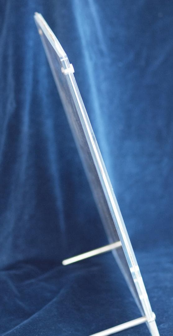 インカ帝国後期　アンデス中部、チャンカイ文化期の希少鳥紋様織裂　12～14世紀の