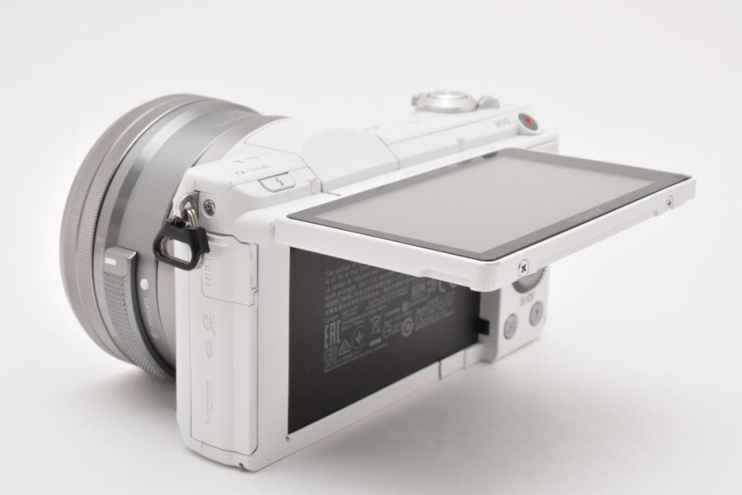 ■ショット数5263回■SONY α5100 標準レンズキット