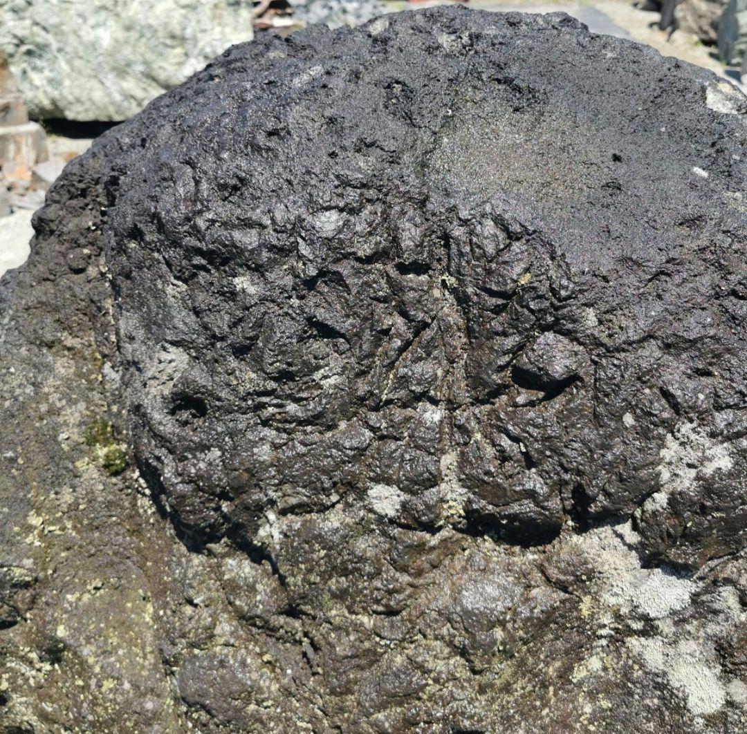 浅間溶岩石　345キロ　庭石　石　石材 庭　坪庭　ガーデニング