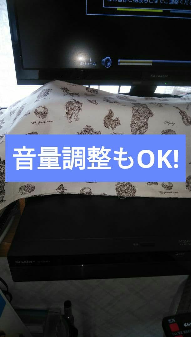 ㊟ジャンク要修理SHARPブルーレイ4B-C20BT3/2020年モデル