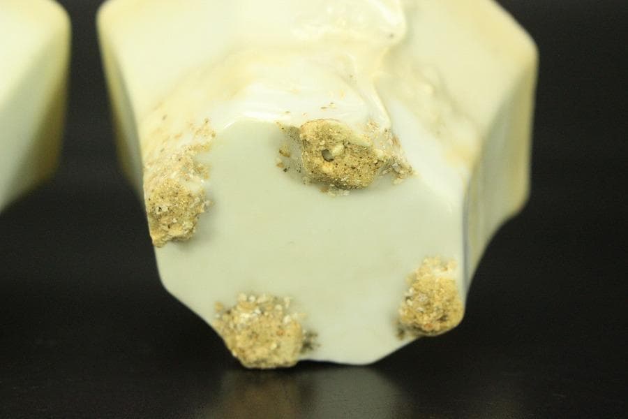 中国美術 白磁 梅花紋 八方 碗 一対 煎茶(HA500)