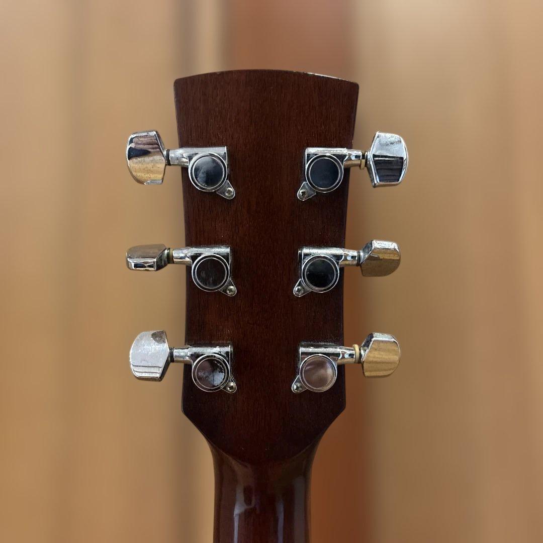 Ibanez エレアコ ソフトケース付 新品弦張替済