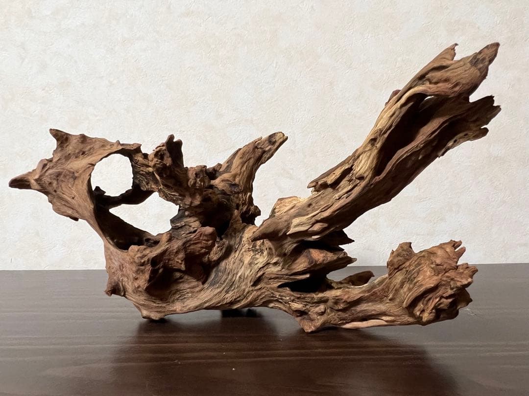 HX-003 流木　ホーンウッド　マシンガンウッド　アクアリウム　ブランチウッド