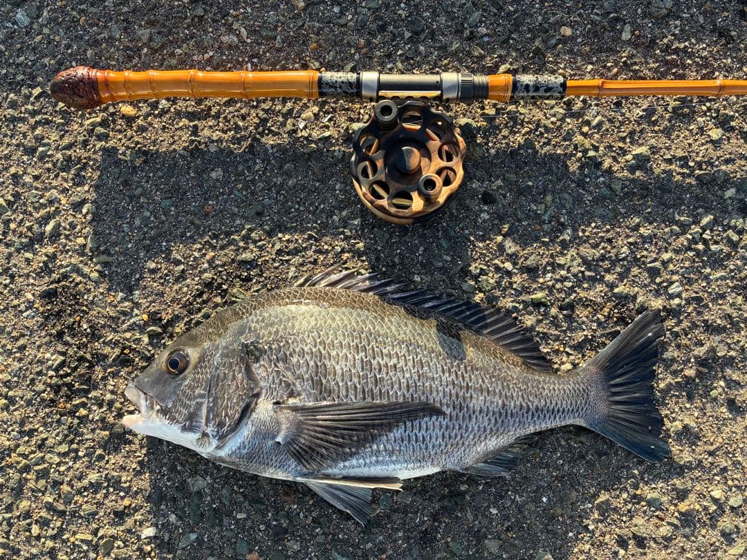 自作全竹軟調子和竿