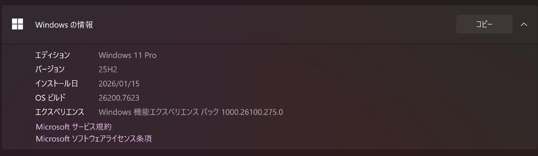 Windowsノート本体 ThinkPad P14s Gen 2 i7 RAM:32GB SSD:1TB