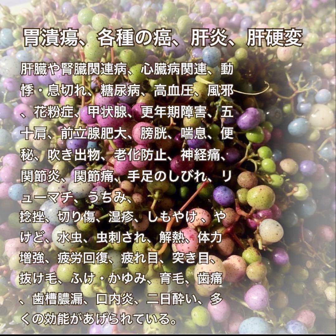 【採れたて】馬ぶどう250g×12袋　1年分3kg うまぶどう　薬膳　民間療法