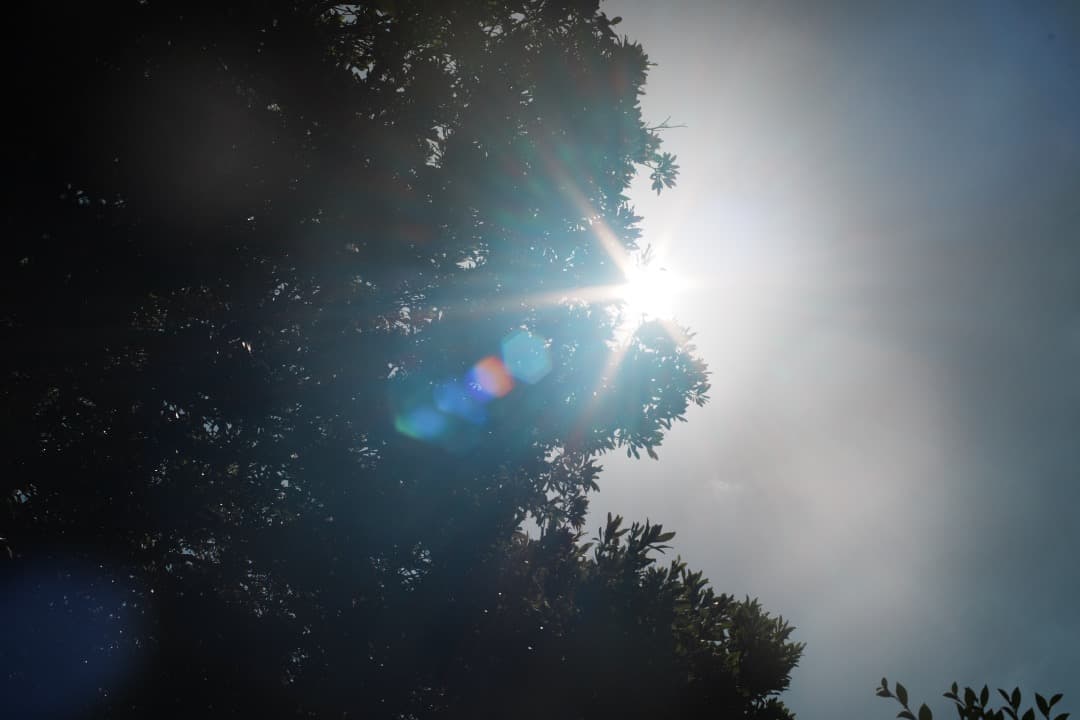 アダプターCarl Zeiss Planar 50mm F1.4 MMJ 762