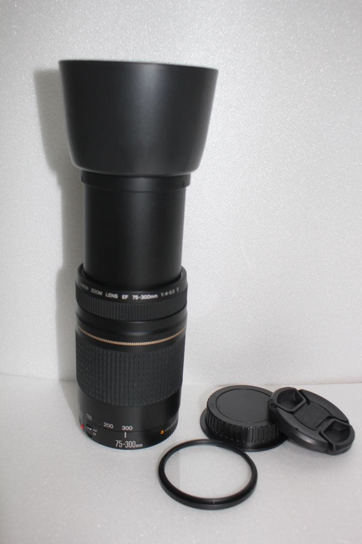 望遠レンズ☆キャノン☆Canon EF 75-300mm USM