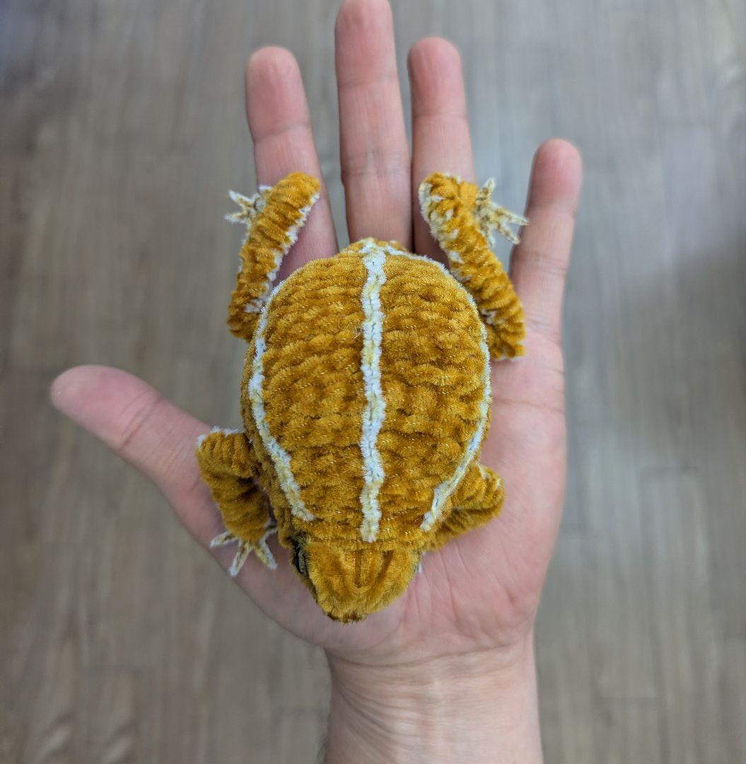 CoCo...オーダー作品モールのレオパ２、アメフクラガエル、ミヤコヒキ