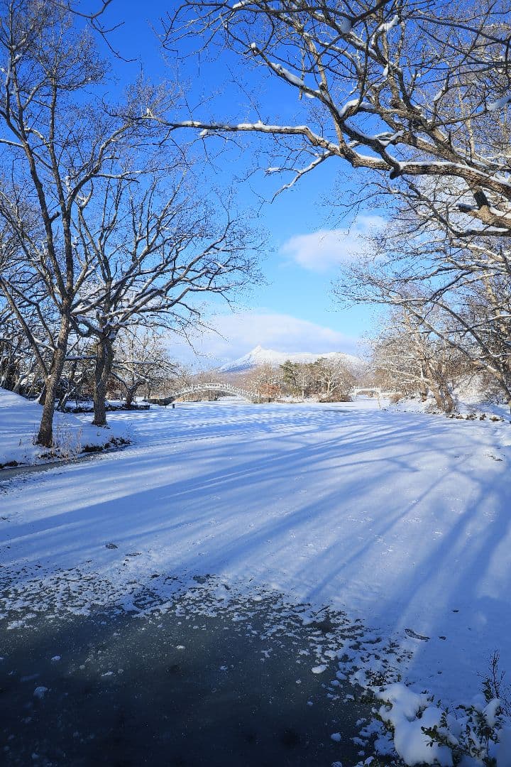 レンズ(単焦点) CANON EF 20mm F2.8 USM