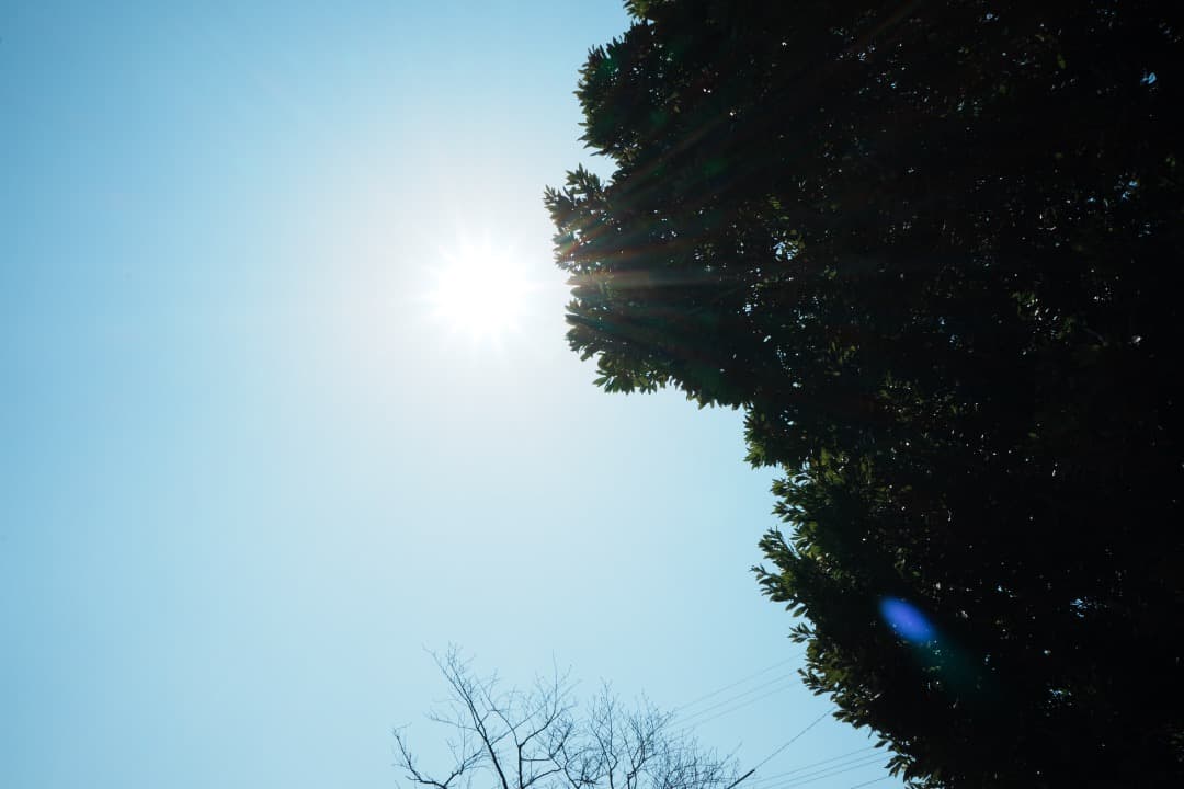 SEL16F28 + VCL-ECU2 超広角レンズセット α6000対応