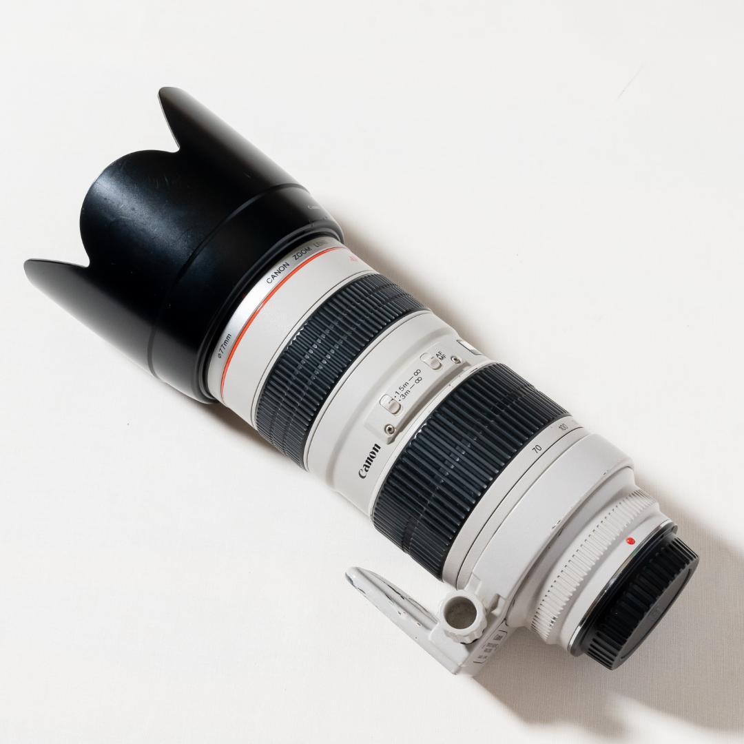 キヤノン Canon EF70-200mm F2.8L USM