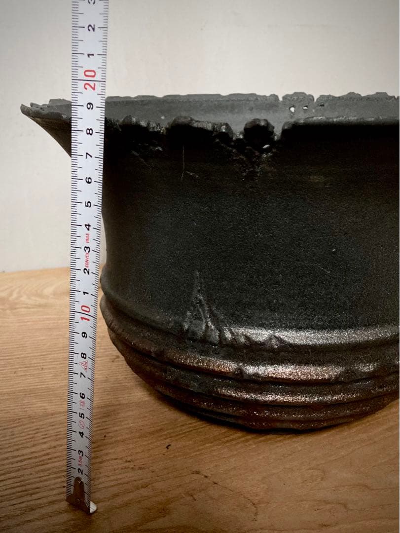 CJ plants × 4C studio コラボ鉢　XXXL