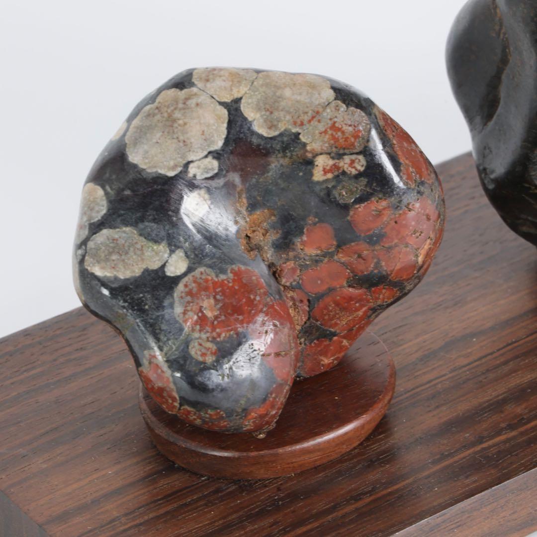 根尾川産 菊花石 二石組 台座 共箱付 鑑賞石 原石 天然石 盆石 飾石 美術品