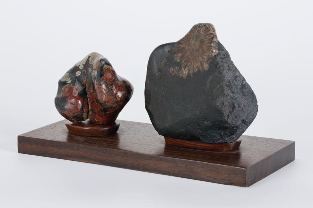 根尾川産 菊花石 二石組 台座 共箱付 鑑賞石 原石 天然石 盆石 飾石 美術品