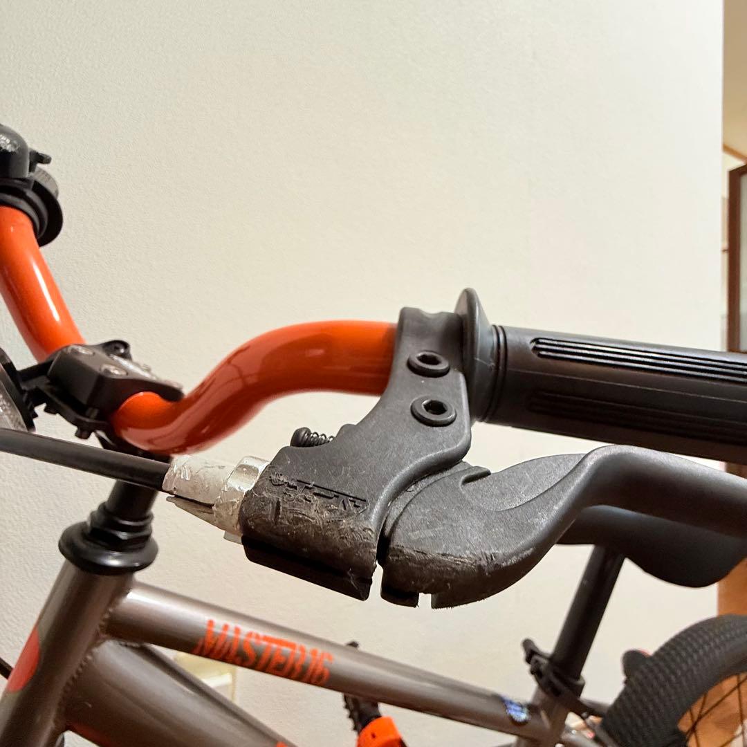 d-bike MASTER 16 バランスバイク 16インチ　自転車　練習