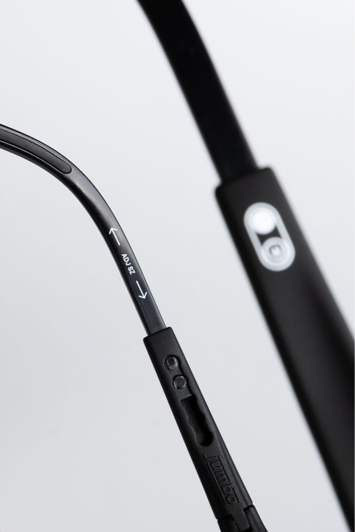 ALBA OPTICS JUMBO F-LENS FLM 調光レンズ