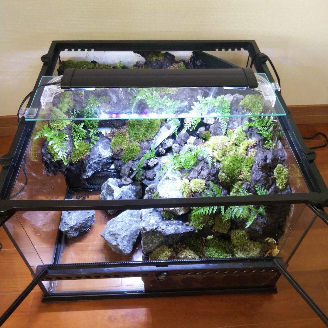 【受注生産】滝のあるアクアテラリウム　グラステラリウム 4530イモリウム
