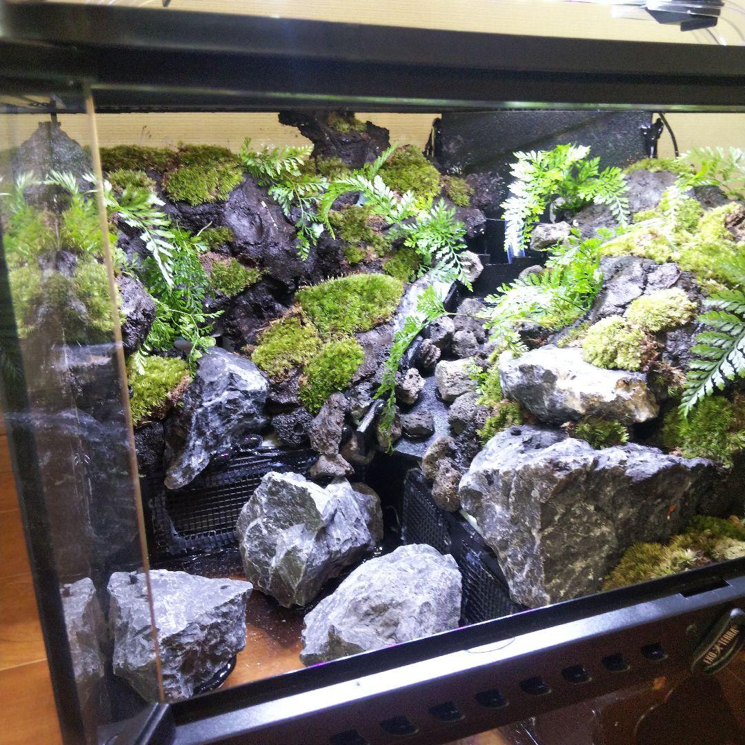 【受注生産】滝のあるアクアテラリウム　グラステラリウム 4530イモリウム