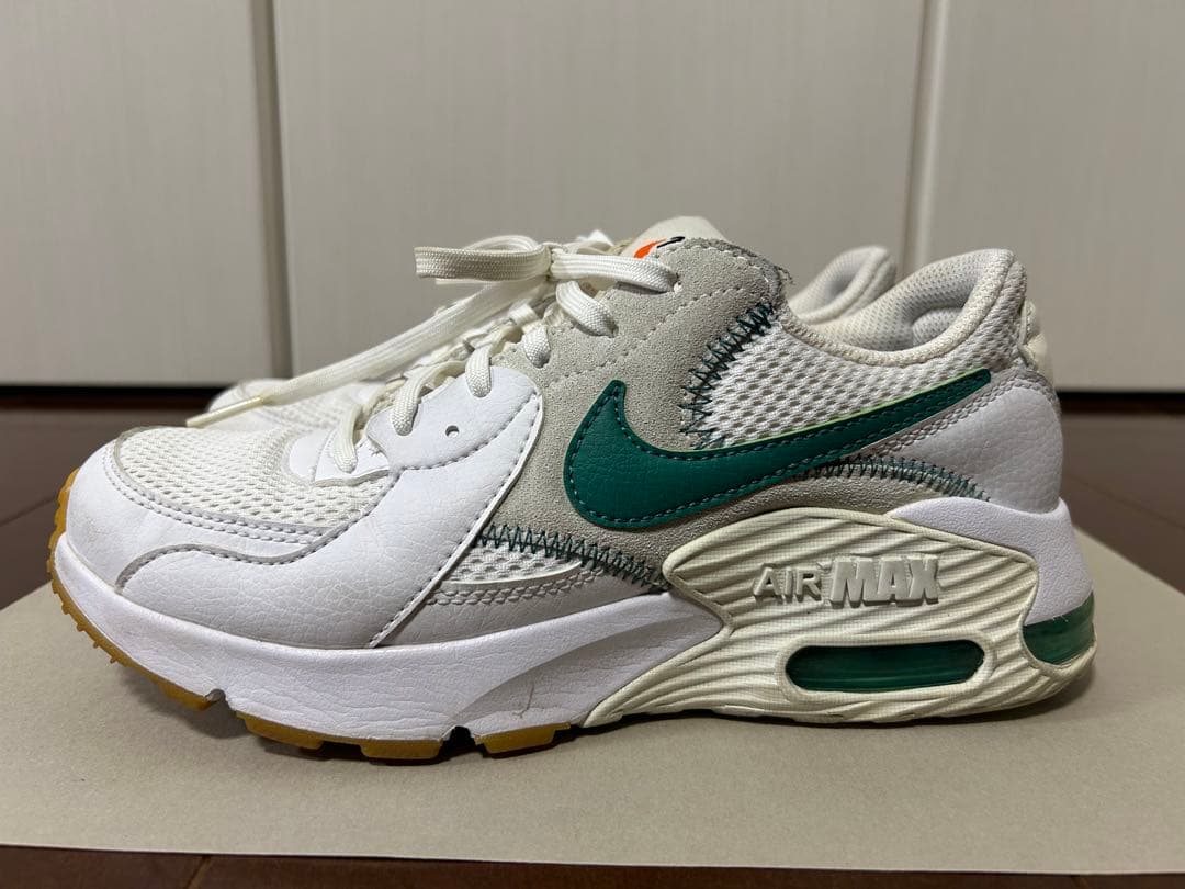 シューズ NIKE WMNS AIR MAX EXCEE DJ2003-100