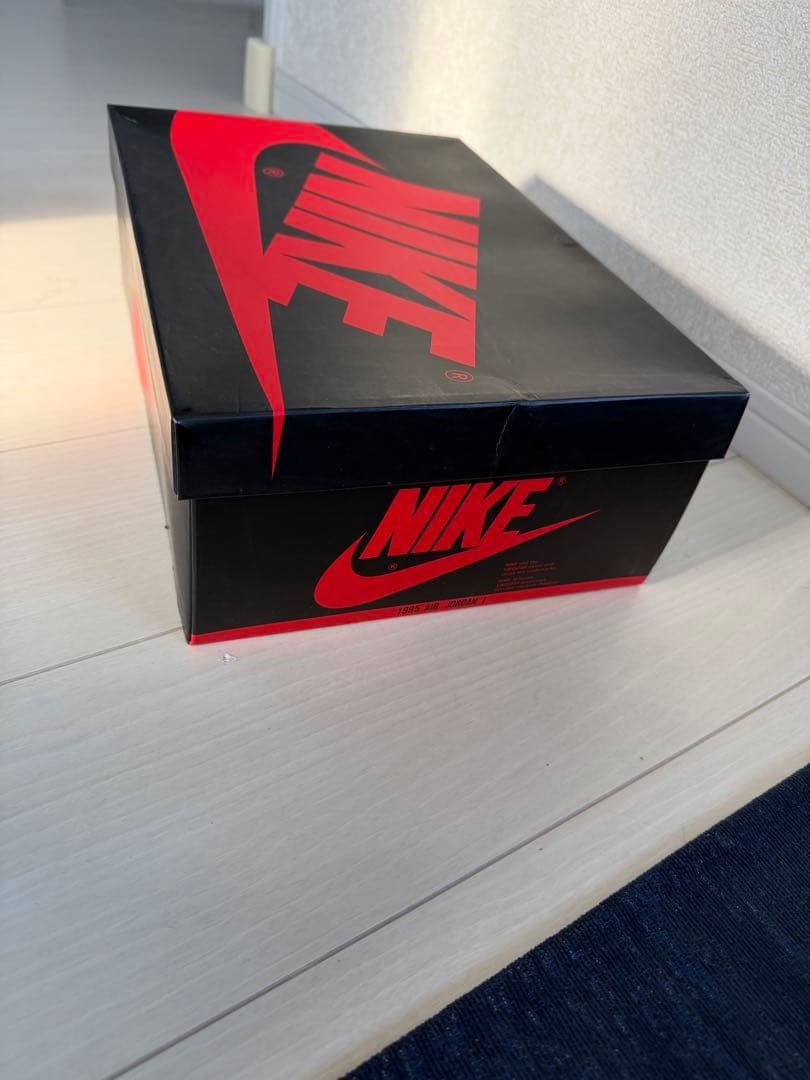 Nike Air Jordan 1 High （2016）11 29㎝