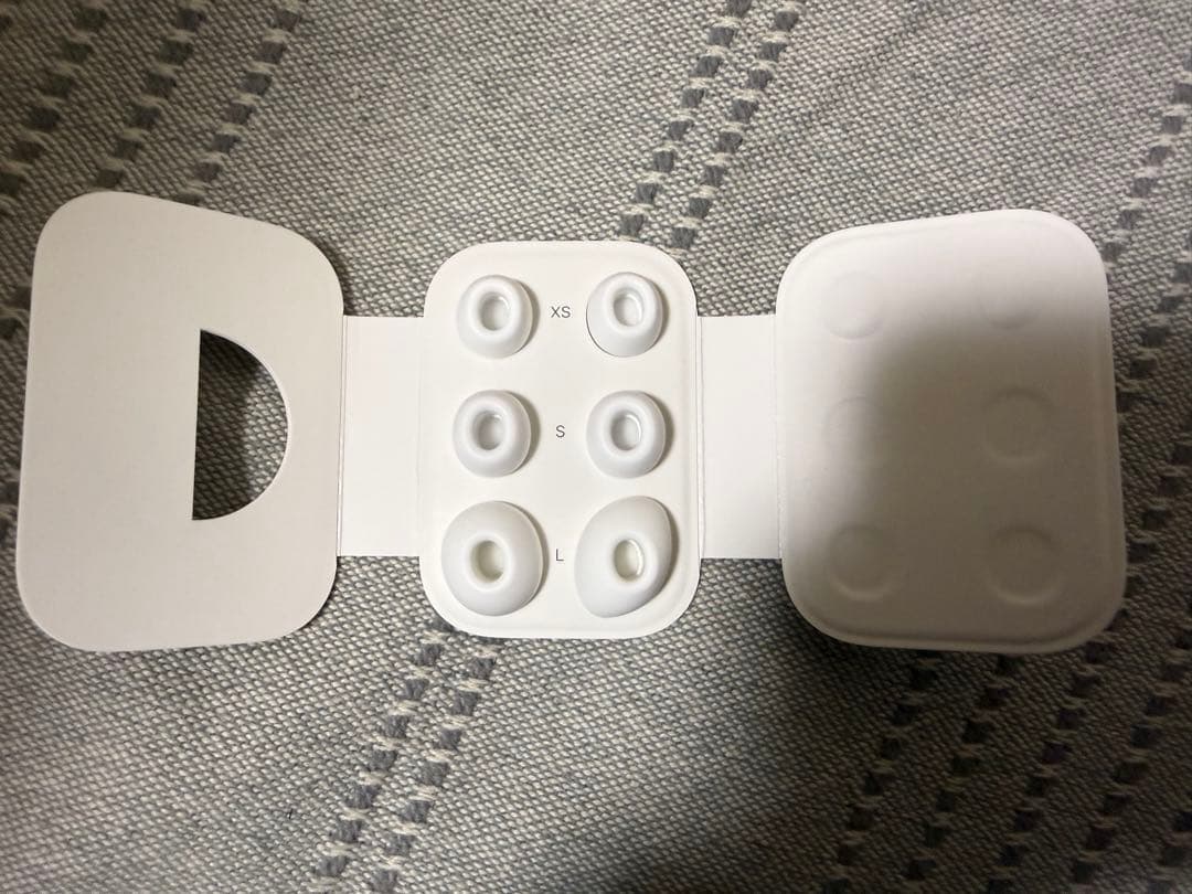 AirPodsPro2 USB Cモデル iFaceケース付き A3048