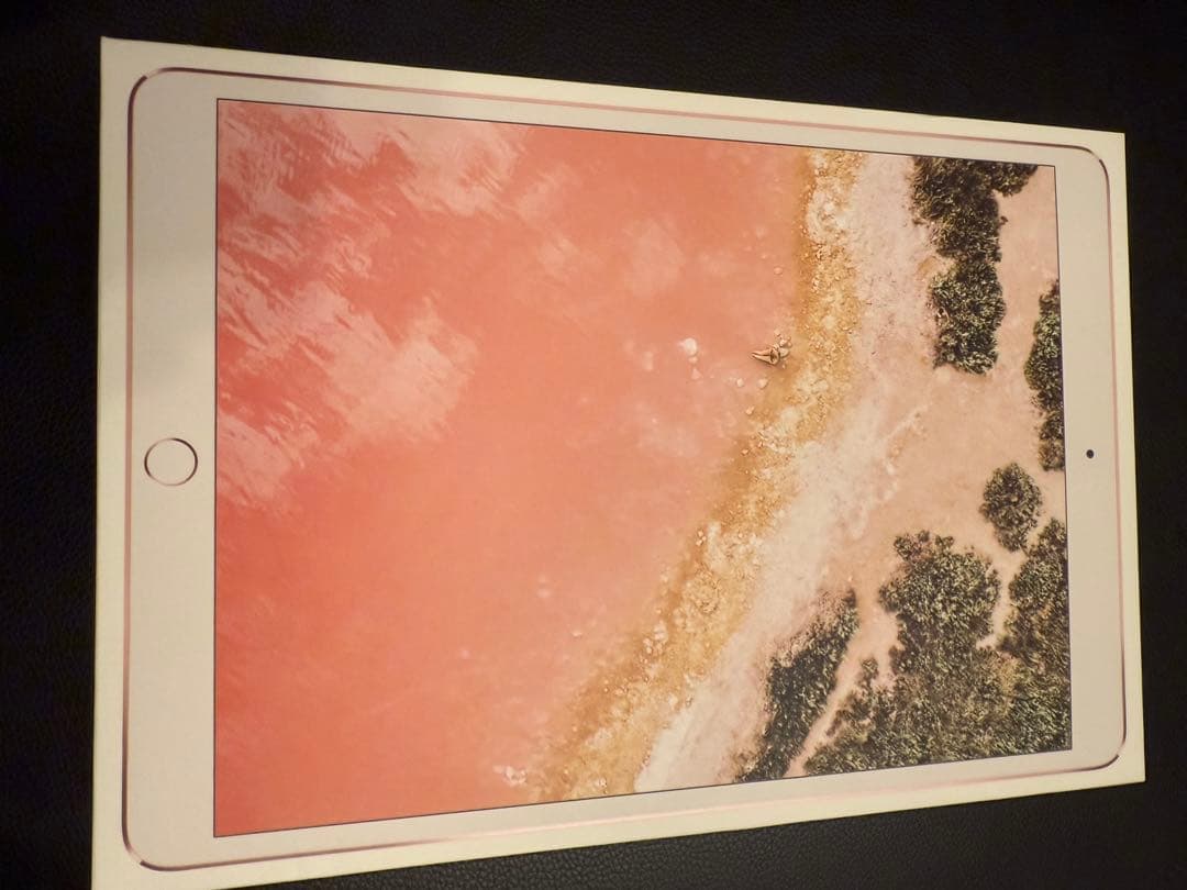 Apple iPad Pro 10.5 （Wi-Fi+Cellular）箱付
