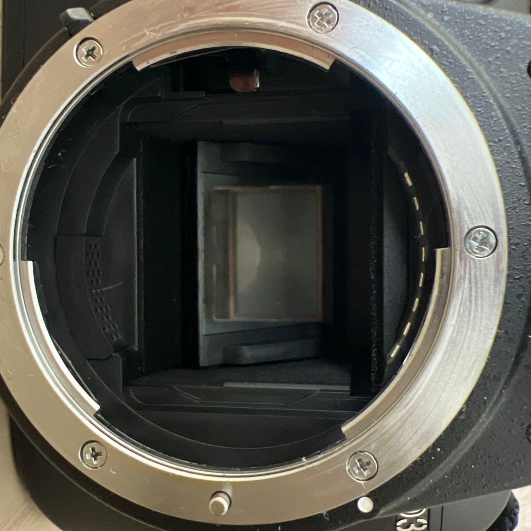 ア*ラ様 Nikon D3000 デジタル一眼レフカメラ ブラック　本体