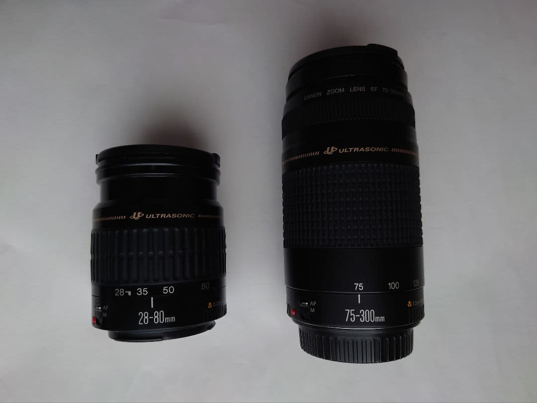 Canon EOS Kiss 一眼レフ フイルムカメラ （作動確認済）