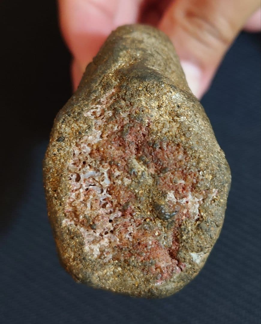 獣脚類　恐竜　ハンドクロウ　化石