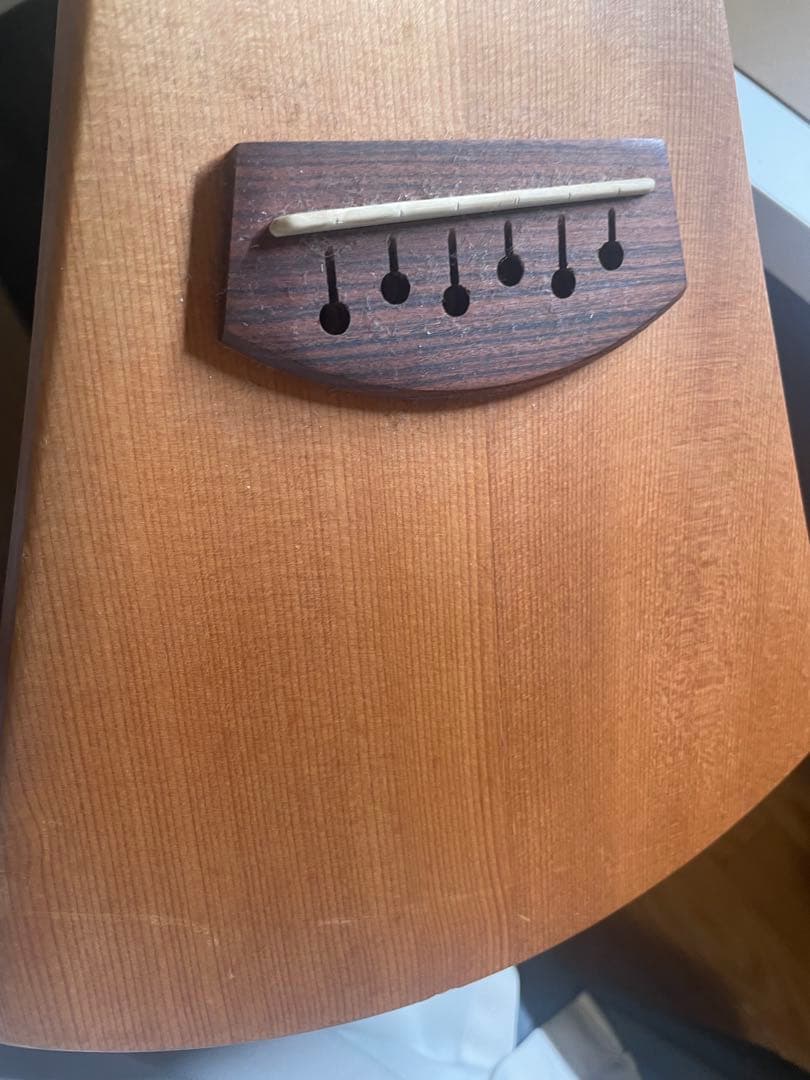 ギター Martin & Co. Backpacker Guitar