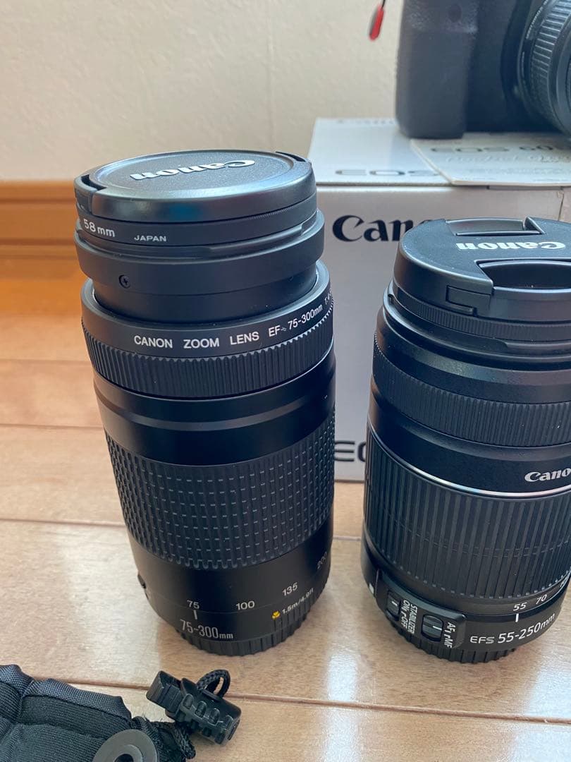 キャノン EOS 60D▪️望遠レンズ2本、標準レンズ1本　バッテリー2個付き